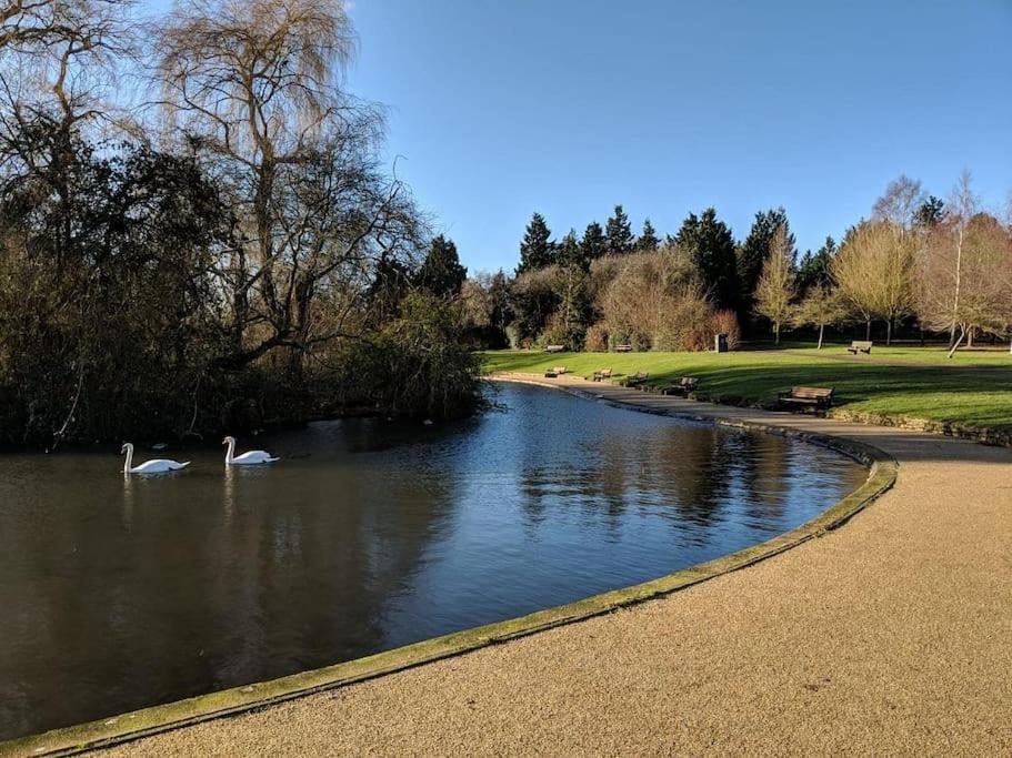Wolsey Road, North Oxford Villa Dış mekan fotoğraf